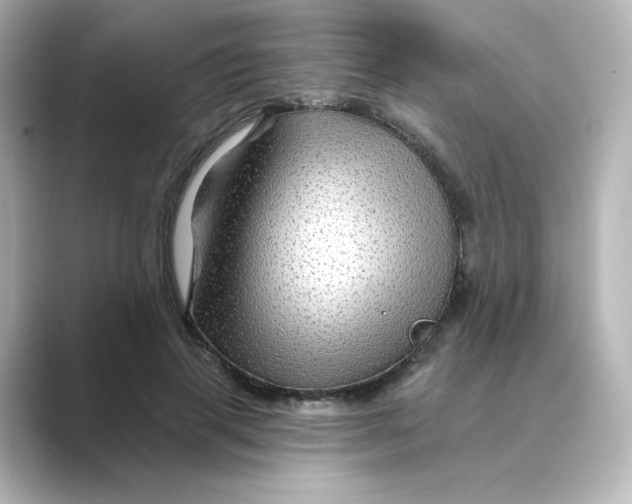 X0000088730645200706212040