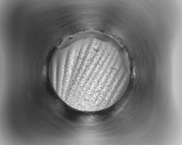 X0000088730646200706212040