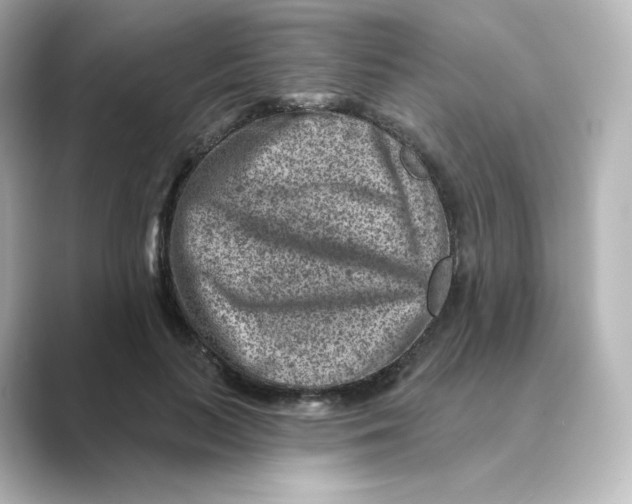 X0000088730647200706212040