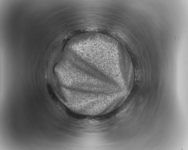 X0000088730648200706212040