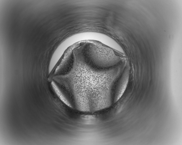 X0000088730649200706212040