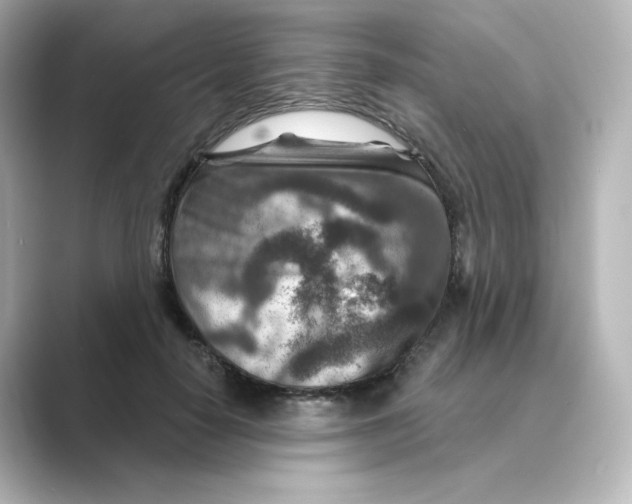 X0000088730650200706212040