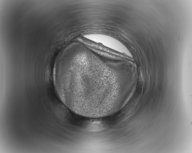 X0000088730651200706212040