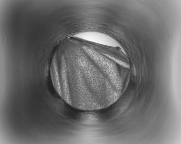 X0000088730652200706212040