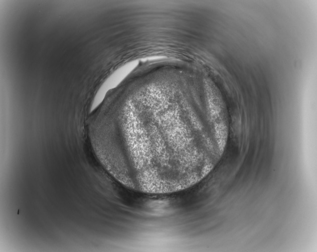 X0000088730653200706212040