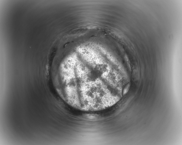 X0000088730654200706212040