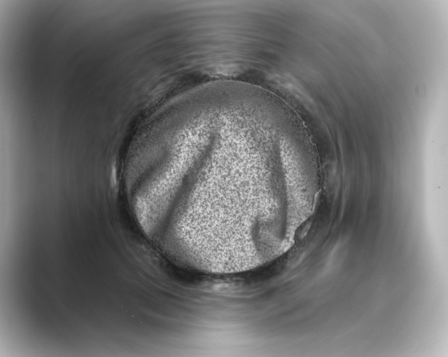 X0000088730655200706212040