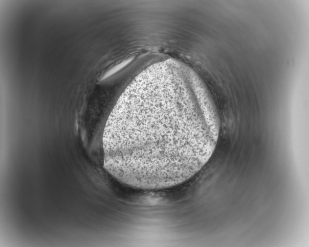 X0000088730656200706212040