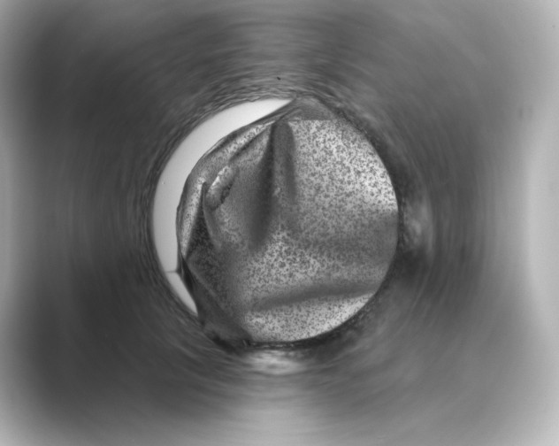 X0000088730657200706212040