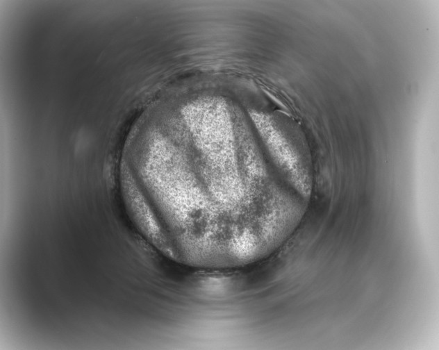 X0000088730658200706212040