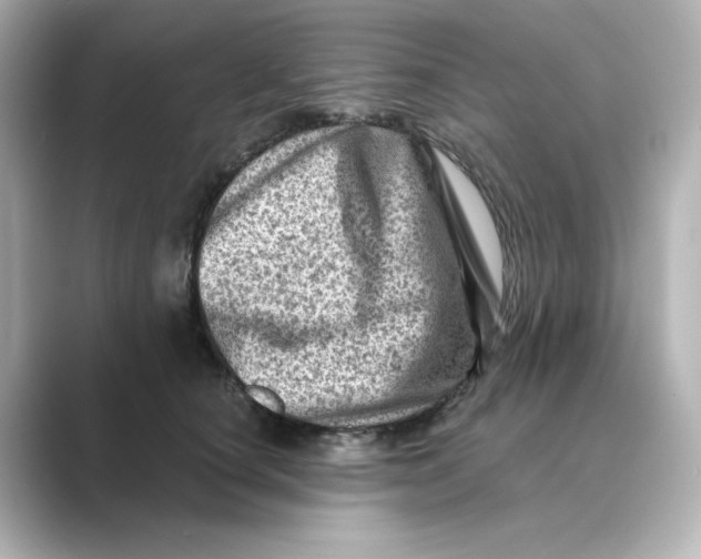 X0000088730660200706212040