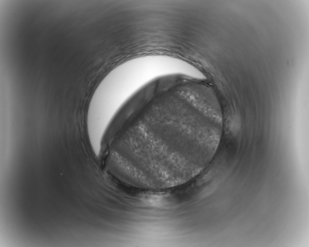 X0000088730661200706212040