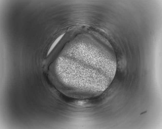 X0000088730662200706212040