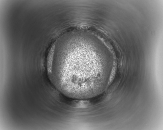 X0000088730663200706212040