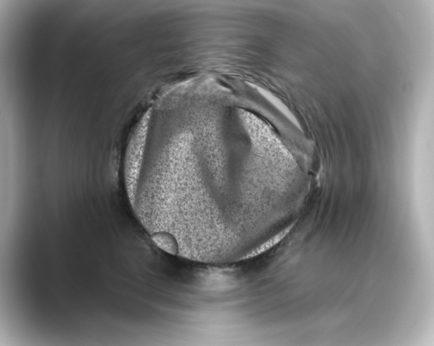 X0000088730664200706212040