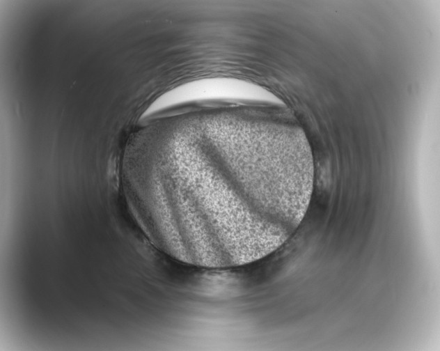 X0000088730666200706212040