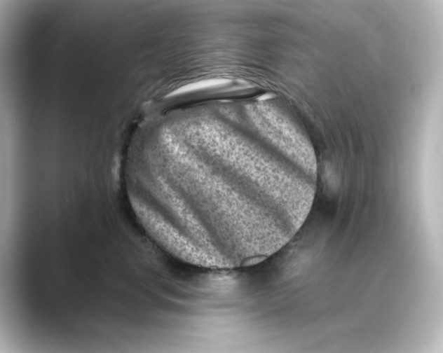 X0000088730668200706212040