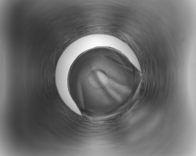 X0000088730669200706212040