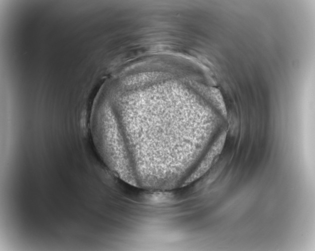 X0000088730670200706212040