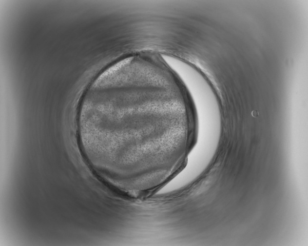 X0000088730673200706212039