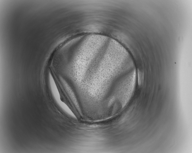 X0000088730675200706212039