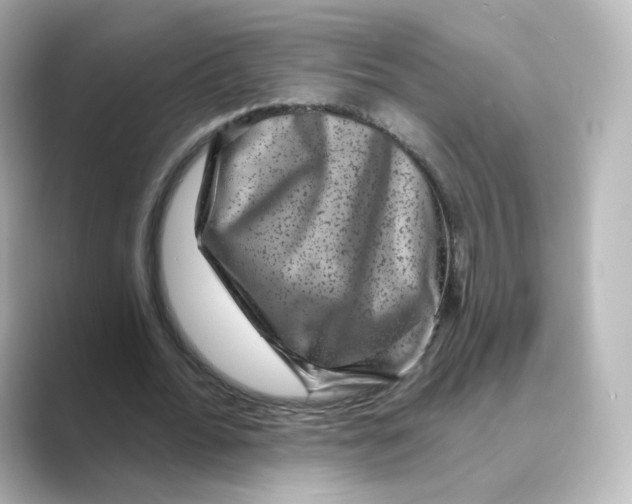 X0000088730676200706212039