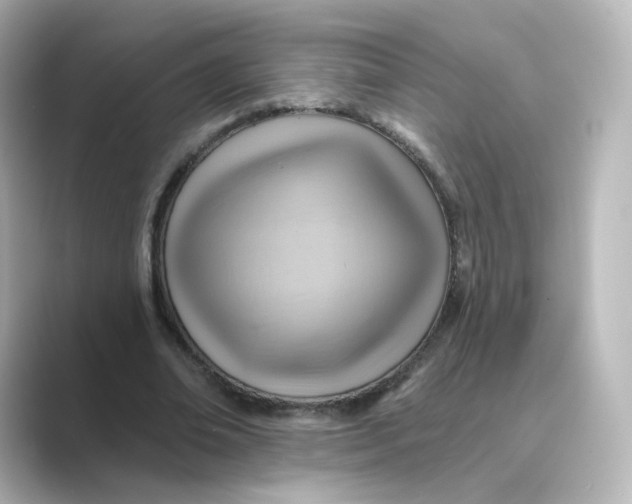 X0000088730678200706212039