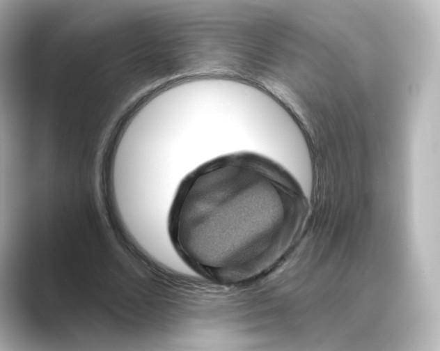 X0000088730680200706212039