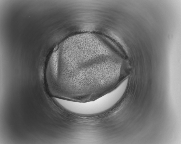 X0000088730681200706212039