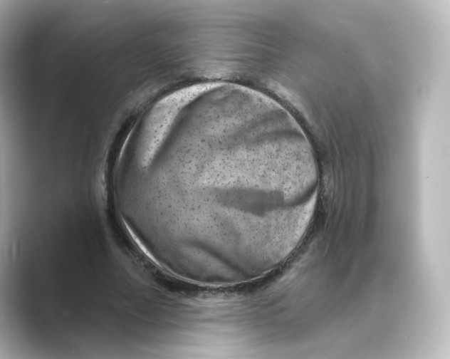 X0000088730682200706212039