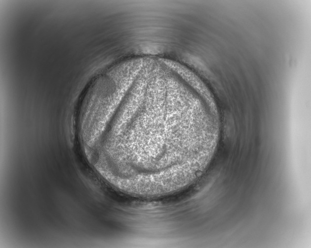 X0000088730683200706212039