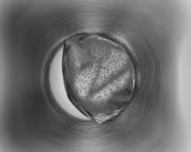 X0000088730684200706212039