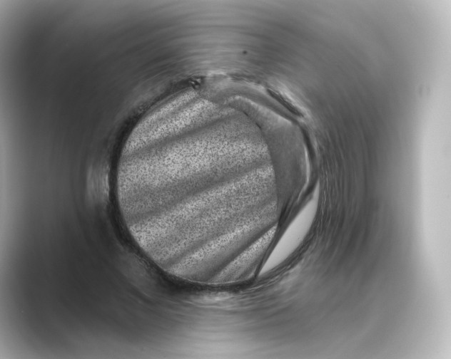 X0000088730685200706212039