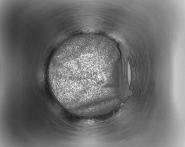 X0000088730687200706212039