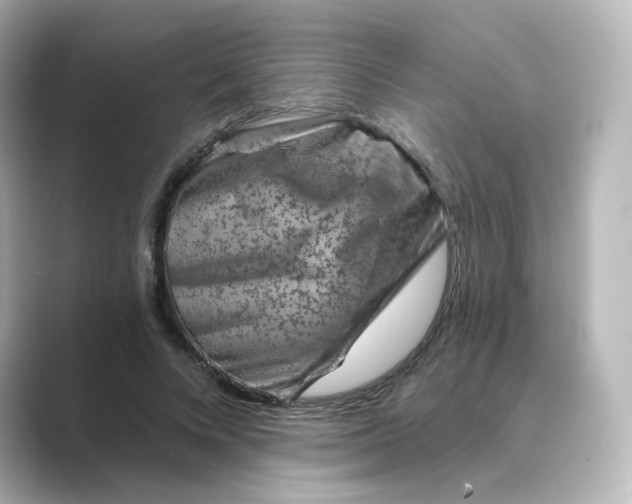 X0000088730688200706212039