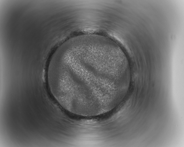 X0000088730689200706212039