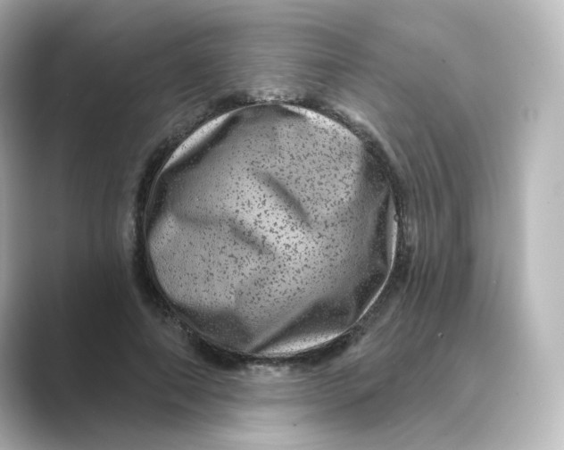 X0000088730690200706212039