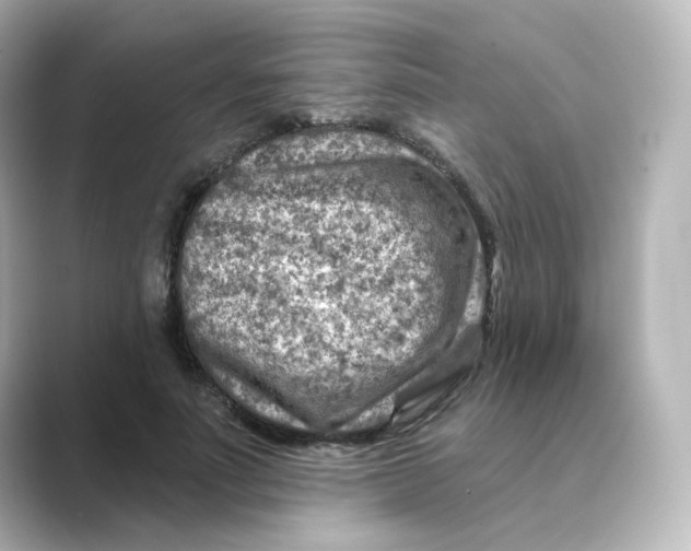 X0000088730691200706212039