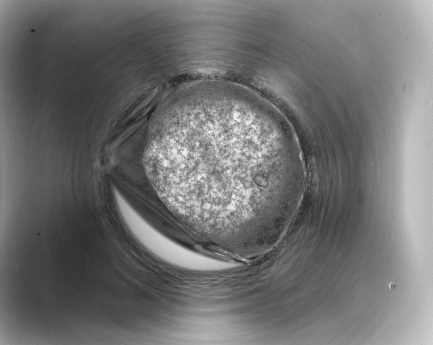 X0000088730692200706212039