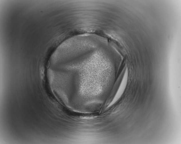 X0000088730693200706212039