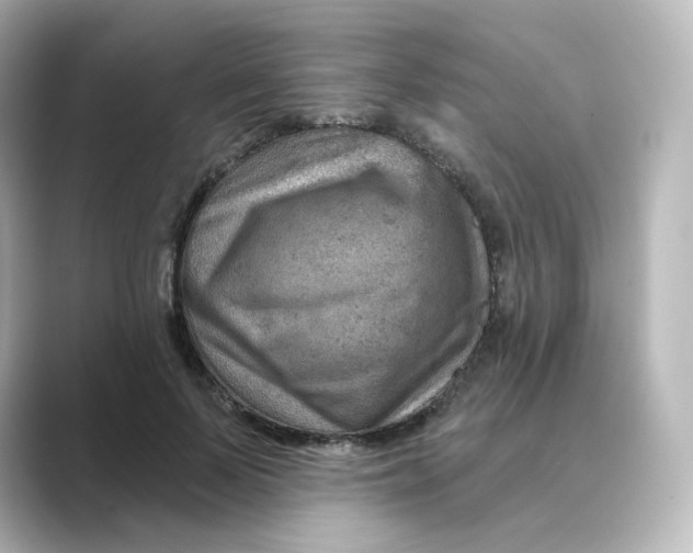 X0000088730695200706212039