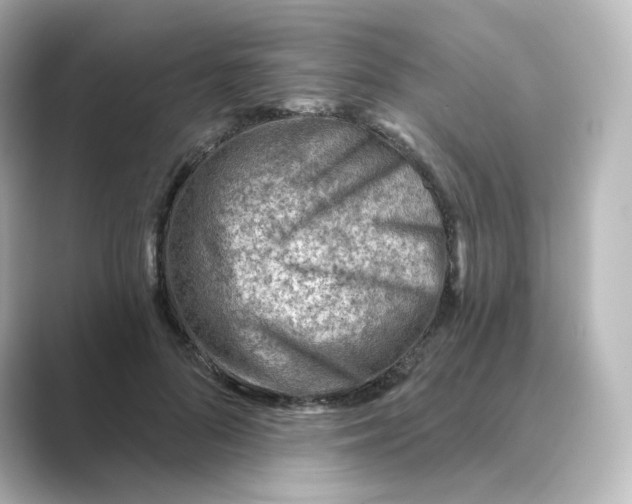 X0000088730696200706212039