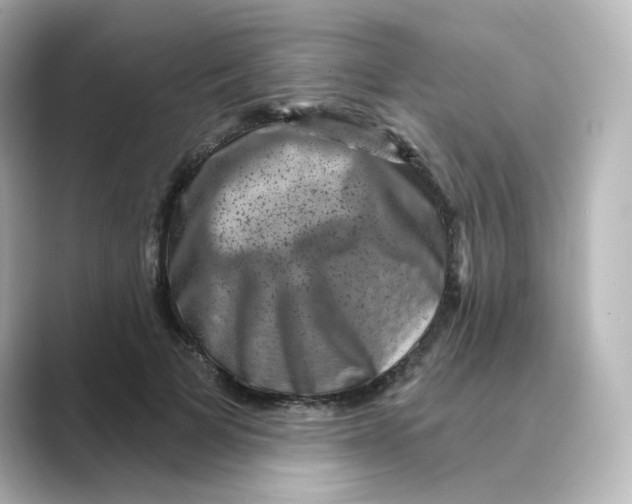 X0000088730697200706212039