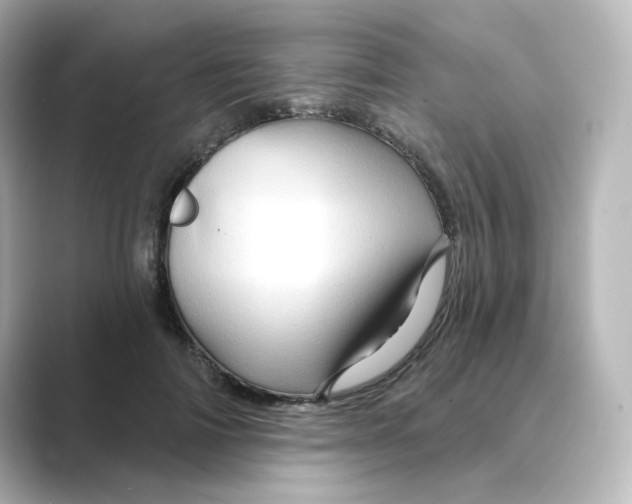 X0000088730698200706212039