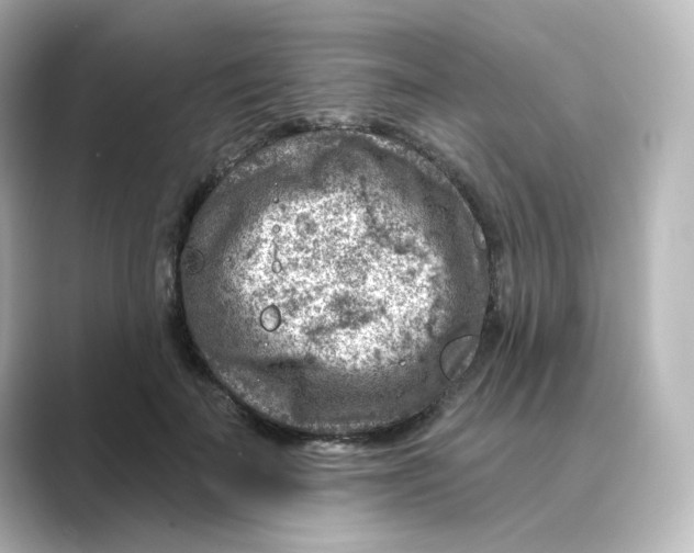 X0000088730699200706212039