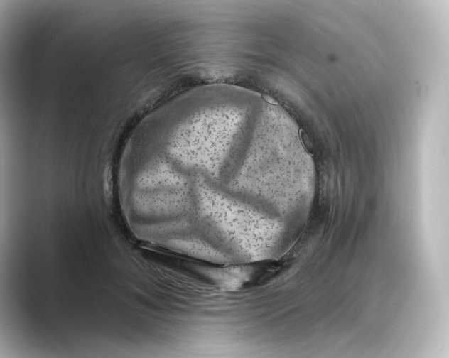 X0000088730700200706212039