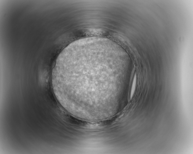 X0000088730701200706212039