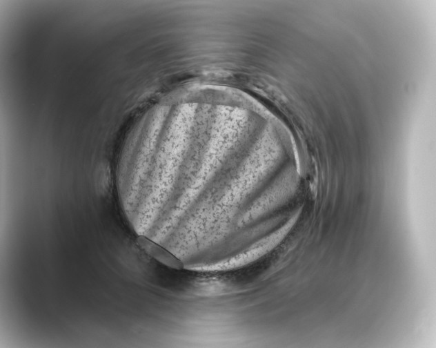 X0000088730704200706212039