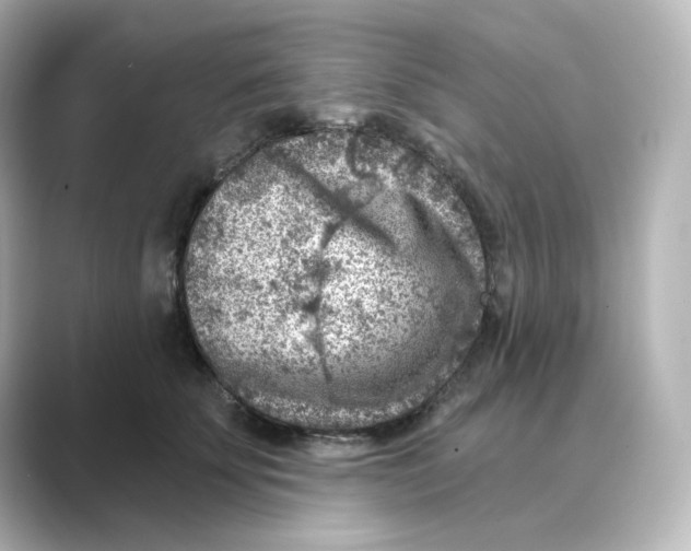 X0000088730707200706212039