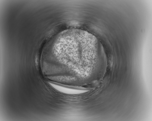 X0000088730708200706212039